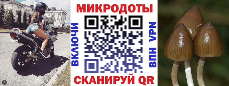 Псилоцибиновые грибы ЛСД  Купить где  Кызыл 